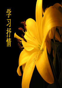 学习抒情
