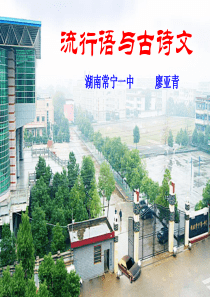 流行语与古诗文