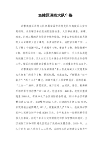 2010年消防大队年鉴