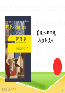 罗宾斯管理学第3章(中文版)