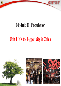 外研版九年级英语上册Module 11Unit 1最新课件