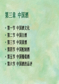 酒类资料《中国酒》-中国酒文化(ppt 42页)