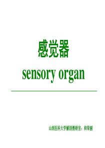 第八章 第二节 前庭蜗器