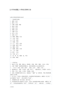 新版小升初语文资料大全