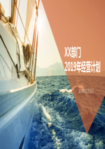 2019年度经营计划模板