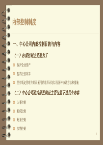 内部控制(详细)1