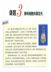 课题3酵母细胞的固定化