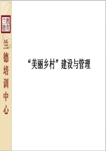 美丽乡村建设与管理 兰德