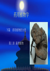 菌类植物详解