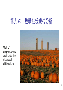9第九章数量性状遗传