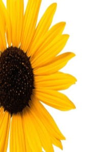 人教版小学英语三年级下第一单元课件