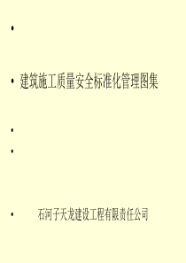 施工现场安全管理标准化图册_安全文明施工_图集(上)
