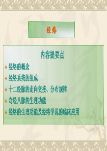 第四章：经络