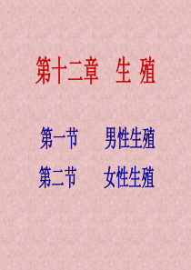 生理学 生殖系统