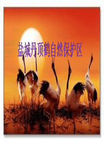 亮化工程施工组织设计完整版