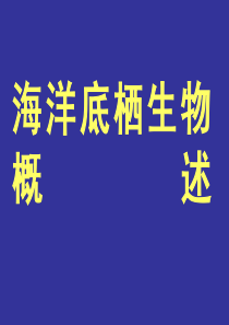 海洋底栖生物概述