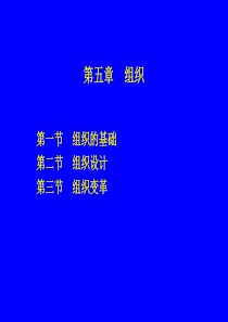 管理学原理第五章 组织