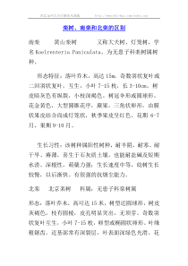 栾树、南栾和北栾的区别