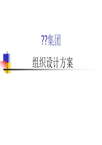 中昌集团组织设计方案