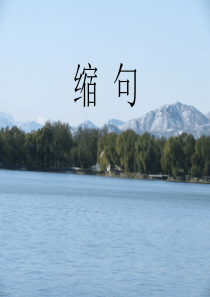缩句总复习