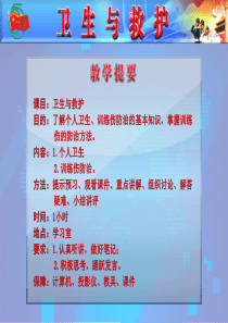 卫生与救护