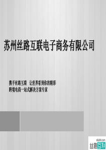 跨境电商介绍案例版mmnnbb