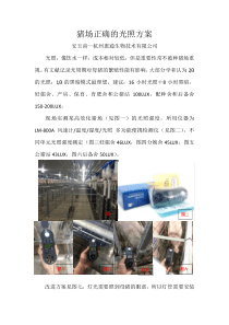 猪场正确的光照方案