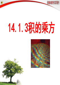 14.1.3  积的乘方