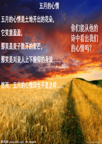 观刈麦公开课.ppt
