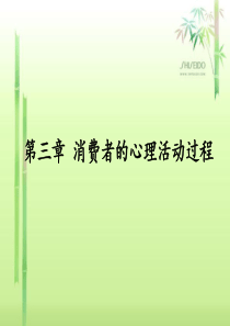 第三章消费者的心理活动过程