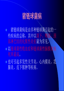 猪链球菌病