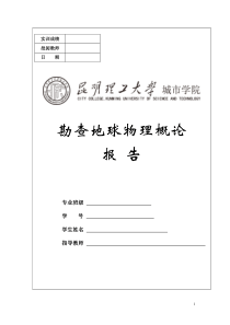 物探报告