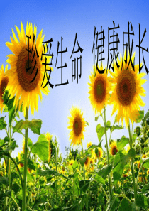 防踩踏主题班会