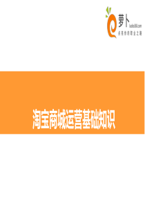 淘宝商城运营必备知识讲述
