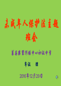 未成年人保护法主题班会