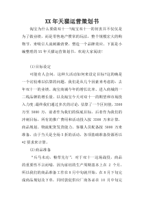 XX年天猫运营策划书