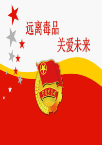 共青团青少年毒品预防教育PPT