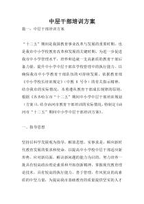 中层干部培训方案