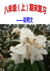 仁爱英语七年级下册重点词组归纳