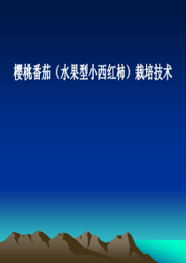番茄栽培技术课件
