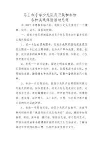 2017年寒假少先队活动总结1