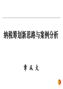 纳税筹划新思路与案例分析