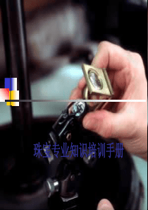 珠宝专业知识培训手册
