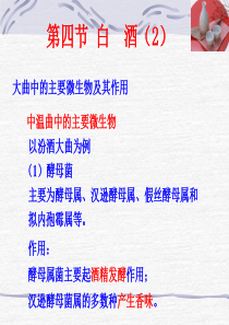 第四节 白酒(2)