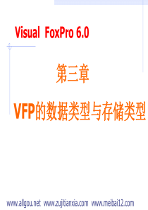 vfp的数据类型和存储类型