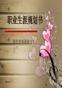 会计职业生涯规划书