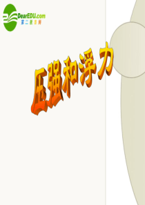2010年九年级物理中考总复习课件(5)--压强和浮力人教版
