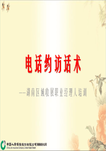 电话约访与话术