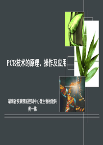 PCR技术的原理、操作及应用 yu1han