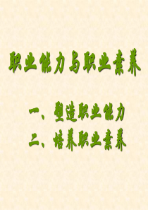 职业能力与职业素养